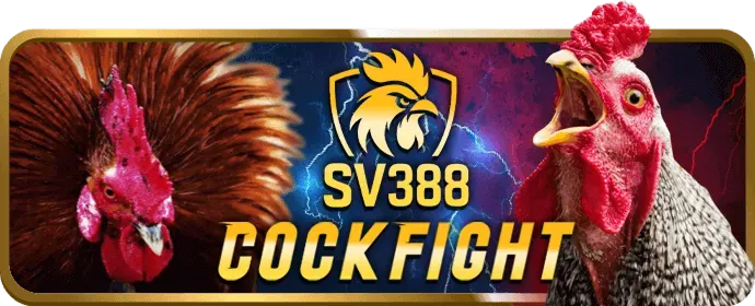 Nền tảng okvip88 an toàn và cá cược có trách nhiệm